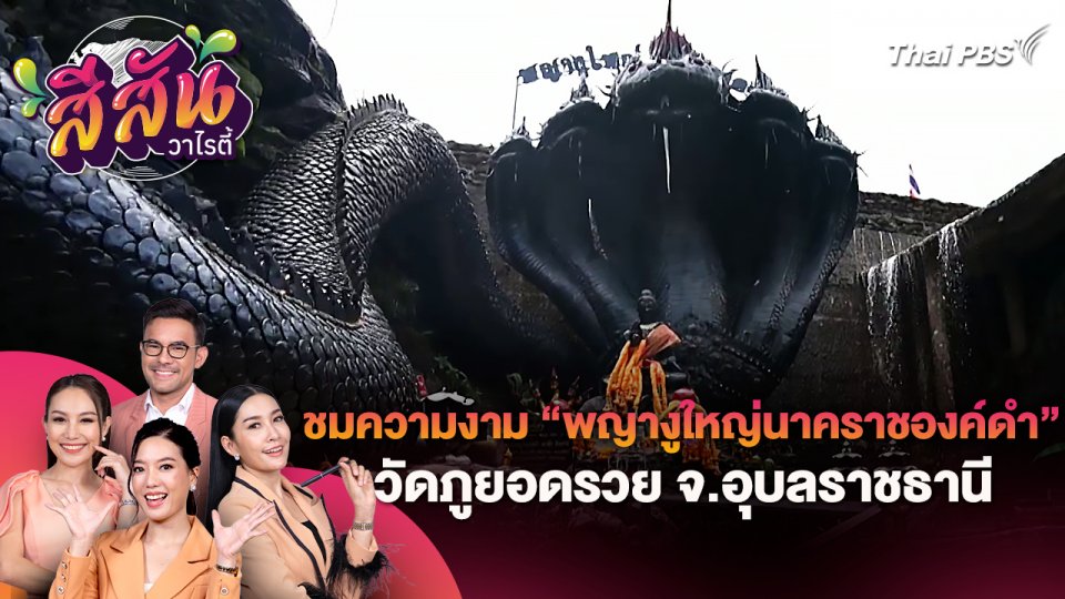 สีสันวาไรตี้ (25 ก.ค. 67)
