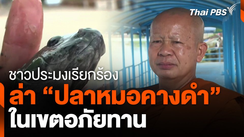 ชาวประมงเรียกร้องล่า "ปลาหมอคางดำ" เขตอภัยทาน