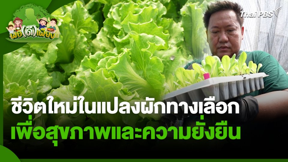 พอดีพอเพียง : ชีวิตใหม่ในแปลงผักทางเลือกเพื่อสุขภาพและความยั่งยืน