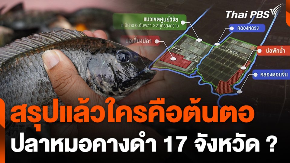 สรุปแล้วใครคือต้นตอปลาหมอคางดำ 17 จังหวัด ?