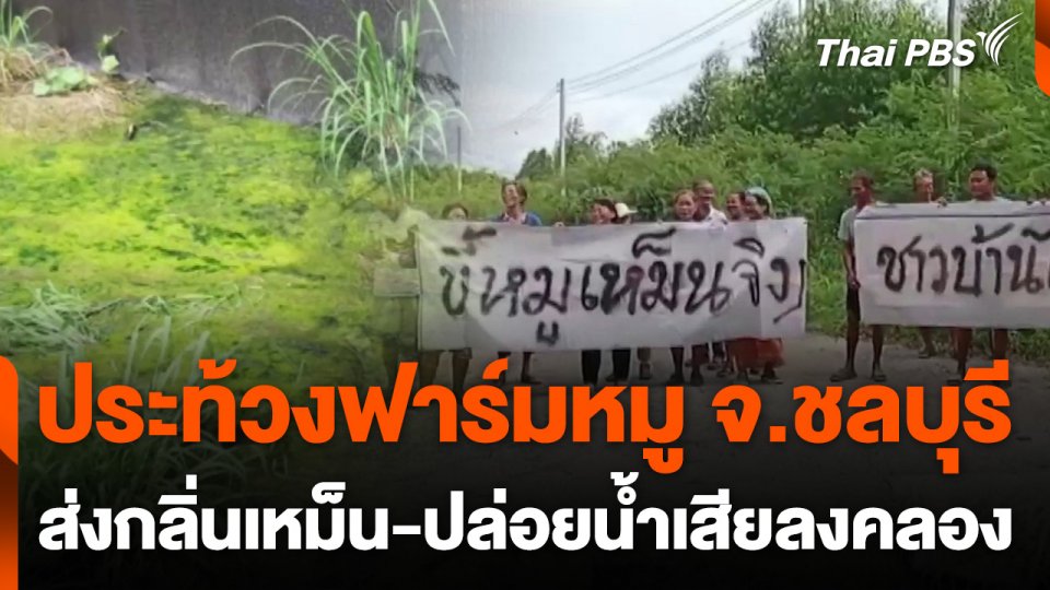 ประท้วงฟาร์มหมู ส่งกลิ่นเหม็น-ปล่อยน้ำเสียลงคลอง จ.ชลบุรี