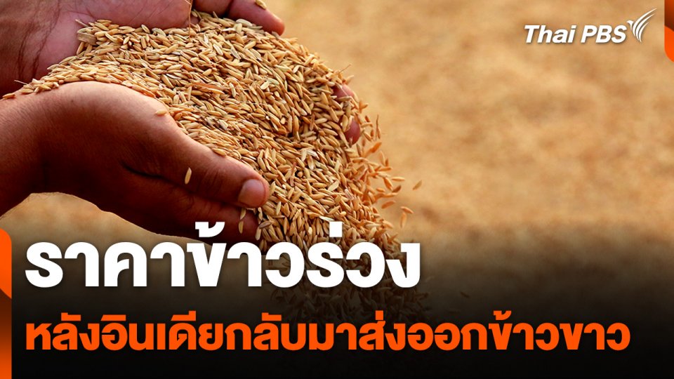 ราคาข้าวร่วง หลังอินเดียกลับมาส่งออกข้าวขาว