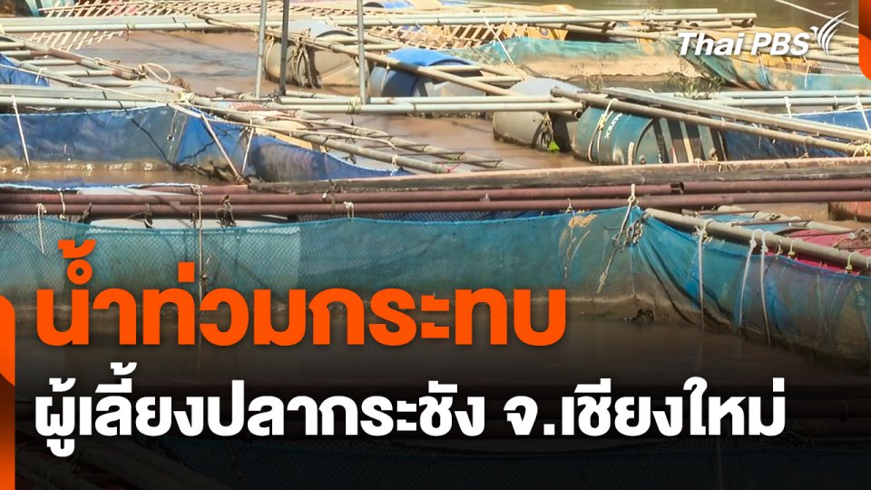 น้ำท่วมกระทบผู้เลี้ยงปลากระชัง จ.เชียงใหม่