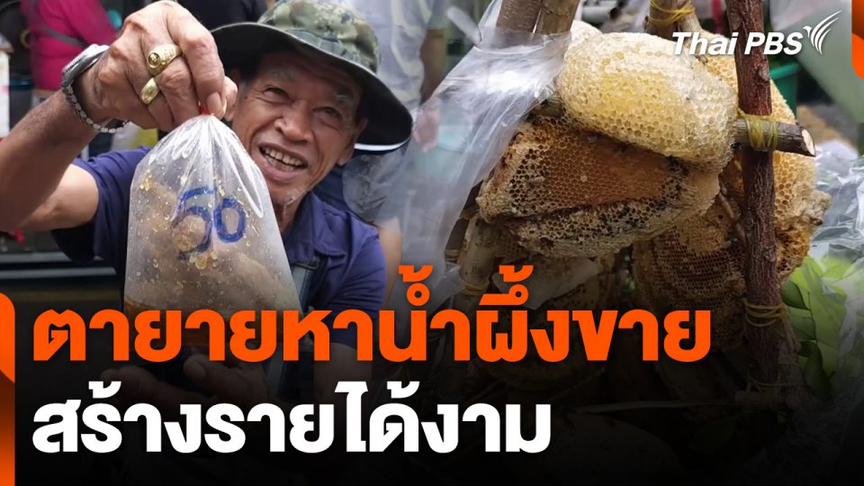 ตายายหาน้ำผึ้งขาย สร้างรายได้งาม