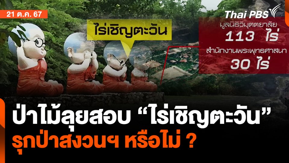 ป่าไม้ลุยสอบ "ไร่เชิญตะวัน" รุกป่าสงวนฯ หรือไม่ ?| จับตาสถานการณ์ | 21 ต.ค. 67