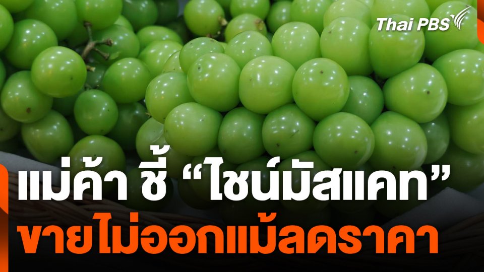แม่ค้า ชี้ "ไชน์มัสแคท" ขายไม่ออกแม้ลดราคา