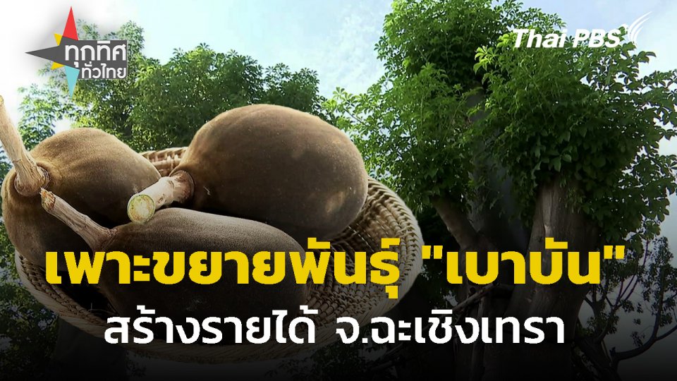 เพาะขยายพันธุ์ "เบาบัน" สร้างรายได้ จ.ฉะเชิงเทรา