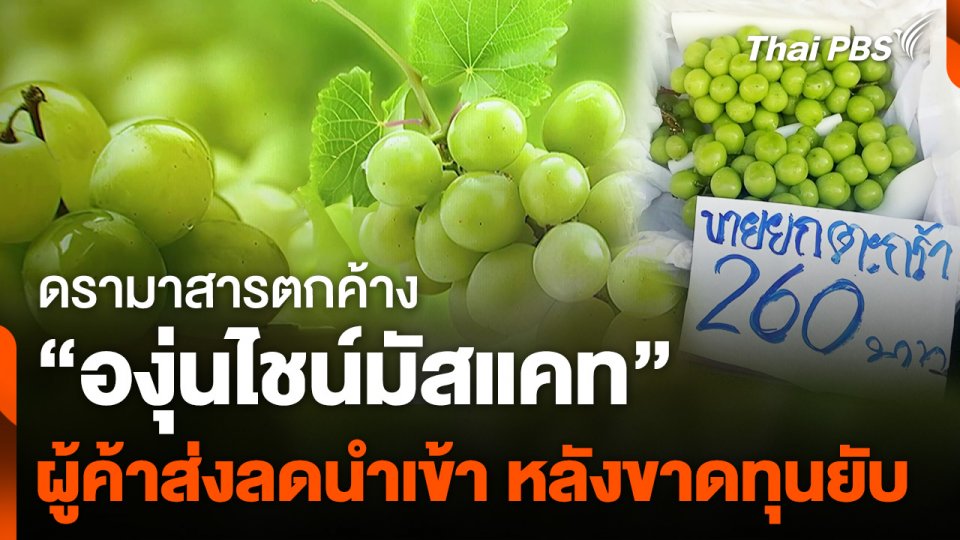 ผู้ค้าส่งตลาดผลไม้ ลดนำเข้า "องุ่นไชน์มัสแคท" ขายเทศกาลปีใหม่