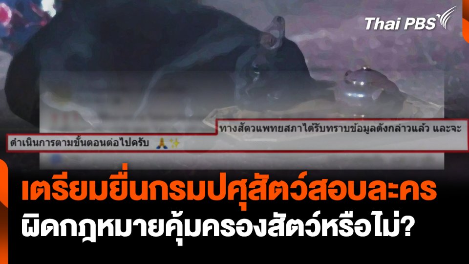 เตรียมยื่นกรมปศุสัตว์สอบละคร ผิดกฎหมายคุ้มครองสัตว์หรือไม่?