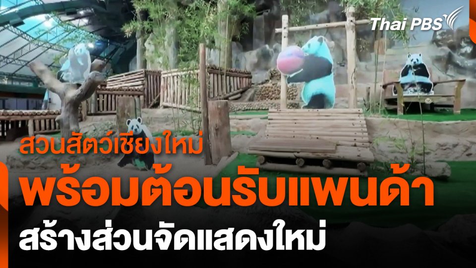 ​สวนสัตว์เชียงใหม่ เตรียมสร้างส่วนจัดแสดงแพนด้าแห่งใหม่