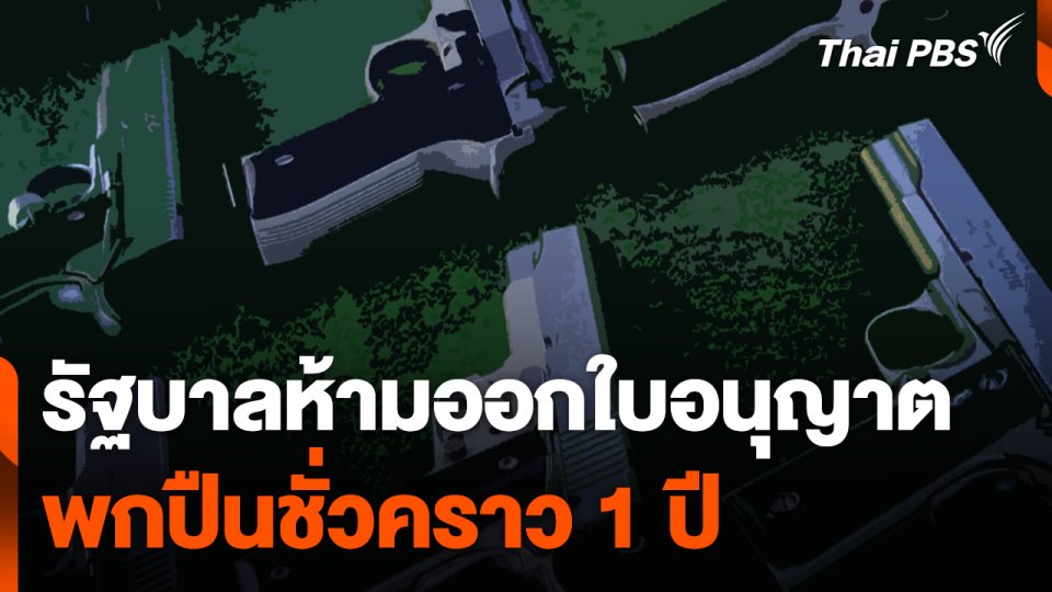 รัฐบาลห้ามออกใบอนุญาตพกปืนชั่วคราว 1 ปี