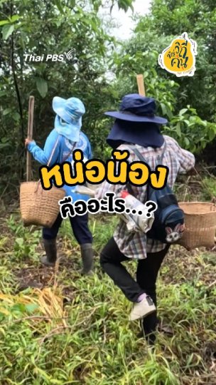 หน่อน้องคืออะไร ?
