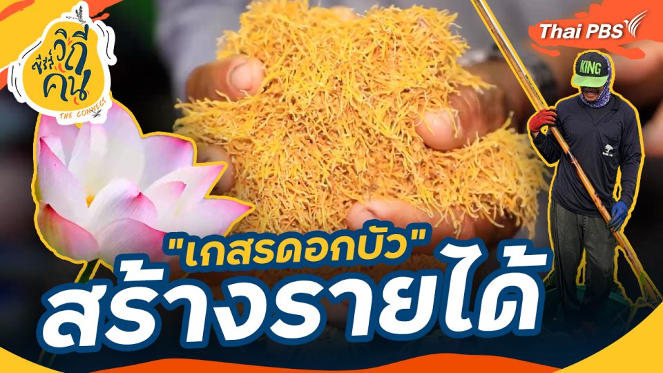 ช็อตเด็ด ซีรีส์วิถีคน : "เกสรดอกบัว" สร้างรายได้