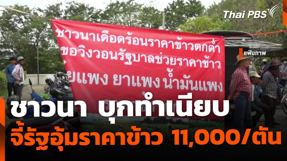 ชาวนาบุกทำเนียบสัปดาห์หน้า จี้รัฐอุ้มราคาข้าว 11,000 ต่อตัน