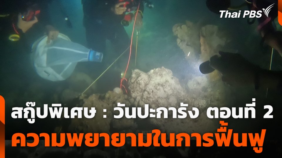 สกู๊ปพิเศษ : วันปะการัง ตอนที่ 2 ความพยายามในการฟื้นฟู
