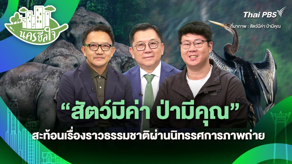 นครฮีลใจ : "สัตว์มีค่า ป่ามีคุณ" สะท้อนเรื่องราวธรรมชาติผ่านนิทรรศการภาพถ่าย