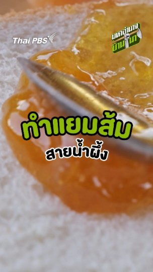 ทำแยมส้ม สายน้ำผึ้ง