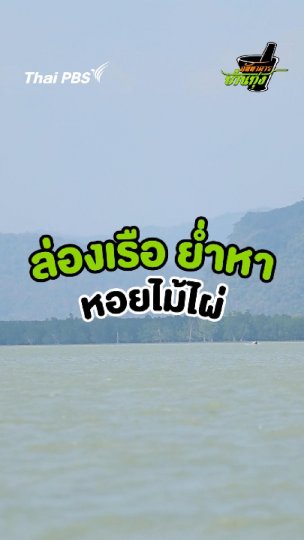 ล่องเรือ ย่ำหาหอยไม้ไผ่