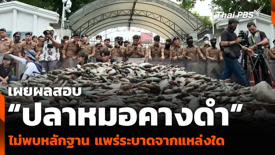เผยผลสอบ “ปลาหมอคางดำ” ไม่พบหลักฐาน แพร่ระบาดจากแหล่งใด
