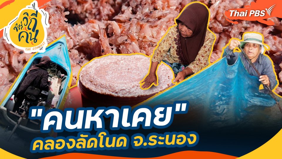 "คนหาเคย" คลองลัดโนด จ.ระนอง : ช็อตเด็ด ซีรีส์วิถีคน