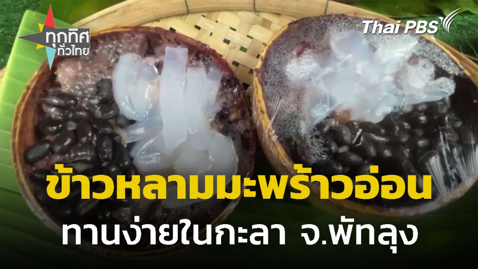 ข้าวหลามมะพร้าวอ่อนในกะลา จ.พัทลุง