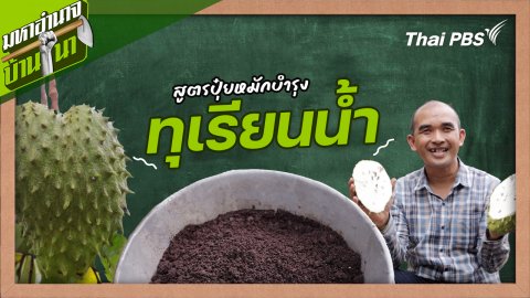 สูตรลับฉบับบ้านนา : สูตรปุ๋ยหมักบำรุงทุเรียนน้ำ