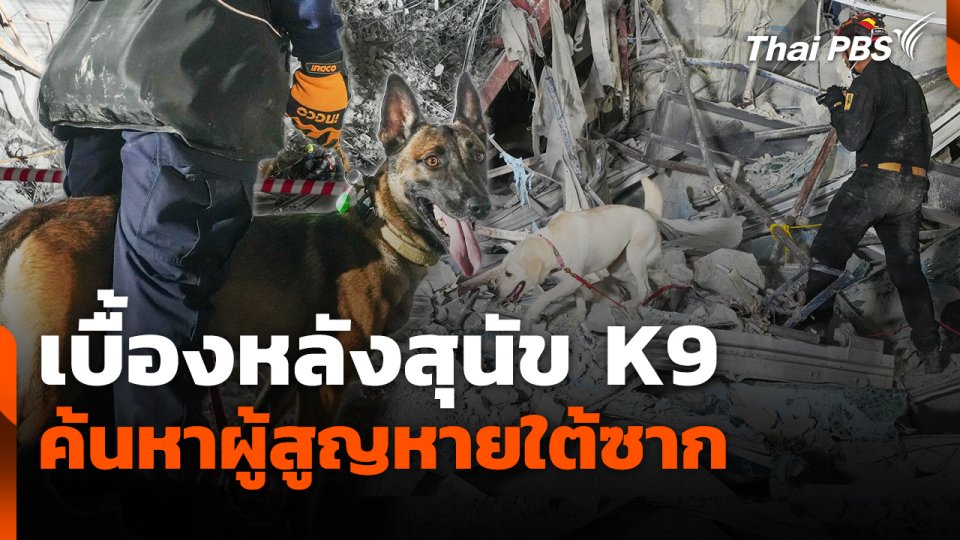 เบื้องหลังสุนัข K9 ค้นหาผู้สูญหายใต้ซาก