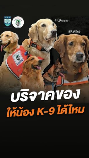 อยากบริจาคอาหาร ให้เหล่าเจ้าหน้าที่ K-9 ได้ไหม