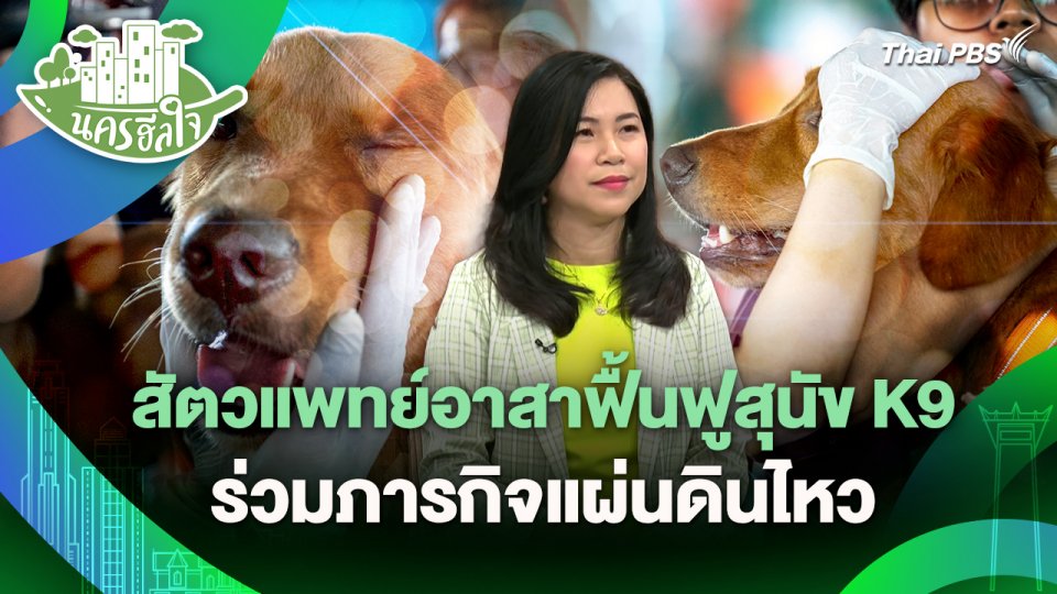 นครฮีลใจ : สัตวแพทย์อาสากับการฟื้นฟูสุนัข K9 ร่วมภารกิจแผ่นดินไหว