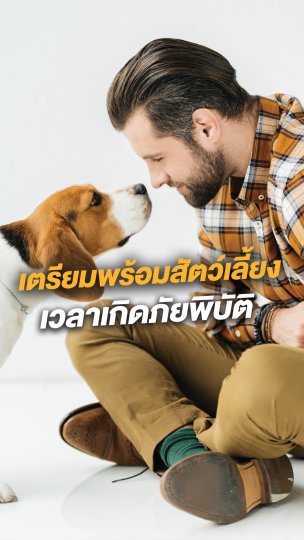 เตรียมพร้อมสัตว์เลี้ยง เวลาเกิดภัยพิบัติ