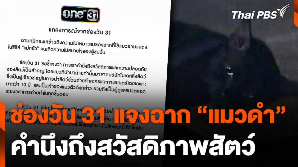 ช่องวัน 31 ชี้แจงฉาก "แมวดำ" คำนึงถึงสวัสดิภาพสัตว์