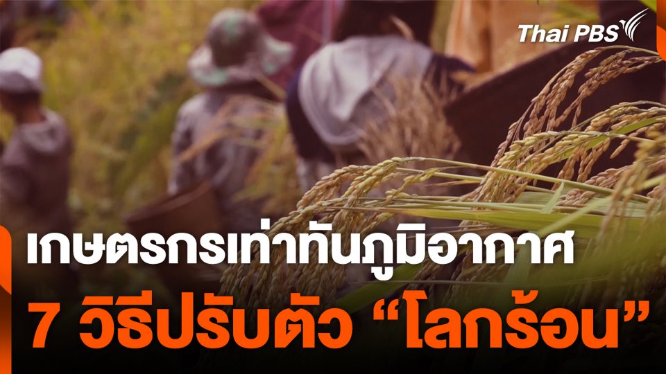 เกษตรกรเท่าทันภูมิอากาศ 7 วิธีปรับตัว "โลกร้อน"