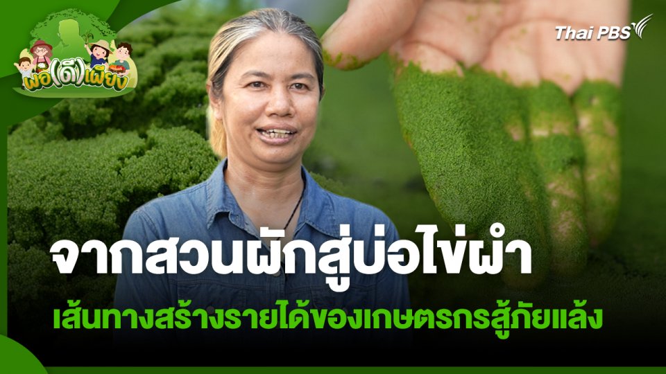 พอดีพอเพียง : จากสวนผักสู่บ่อไข่ผำ เส้นทางสร้างรายได้ของเกษตรกรสู้ภัยแล้ง