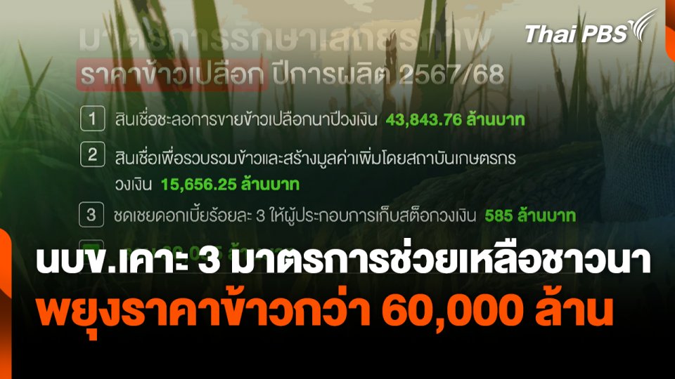 นบข.ไฟเขียวมาตรการพยุงราคาข้าวกว่า 60,000 ล้าน