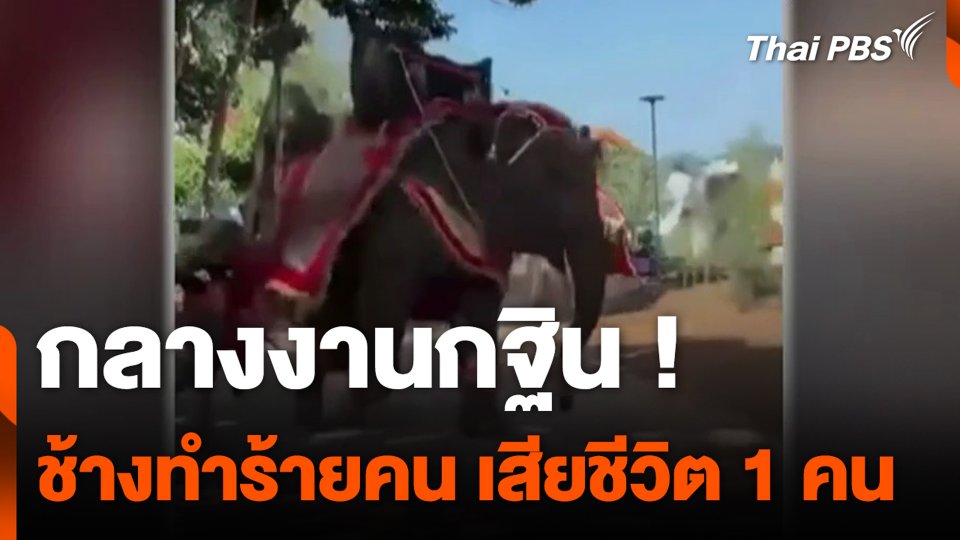 กลางงานกฐิน ! ช้างทำร้ายคน เสียชีวิต 1 คน