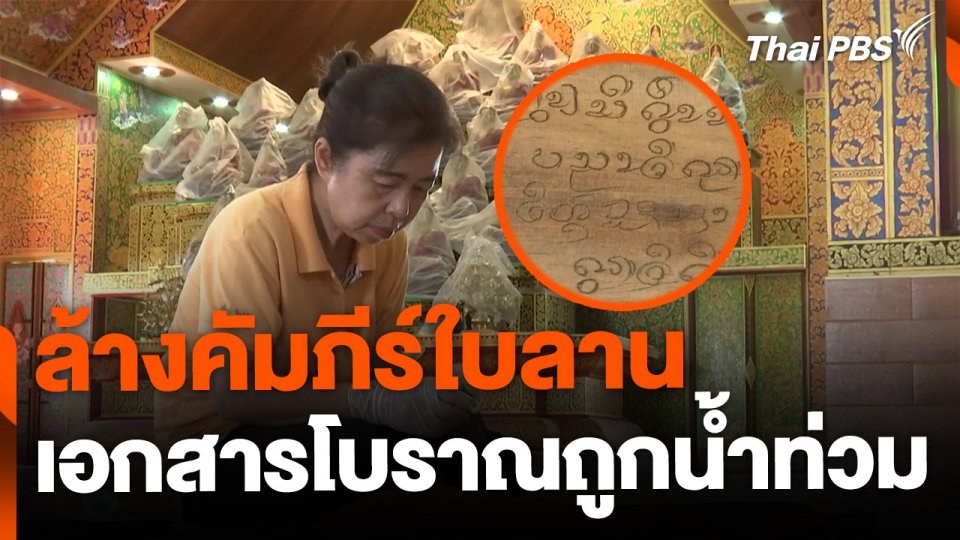 อาสาสมัครล้างคัมภีร์ใบลานถูกน้ำท่วม จ.เชียงใหม่