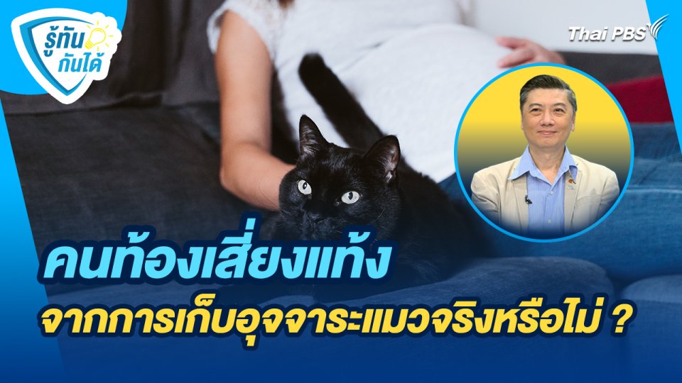 รู้ทันกันได้ : คนท้องเสี่ยงแท้งจากการเก็บอุจจาระแมวจริงหรือไม่ ?