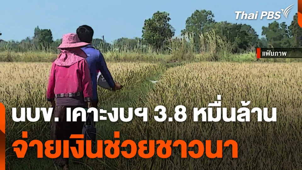 นบข. เคาะงบฯ 3.8 หมื่นล้านบาท จ่ายเงินช่วยชาวนา