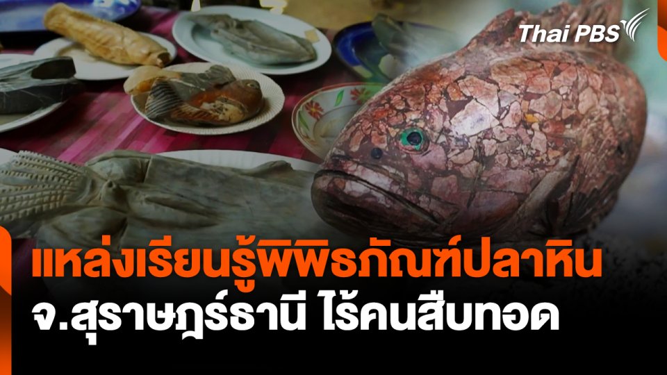 แหล่งเรียนรู้พิพิธภัณฑ์ปลาหิน จ.สุราษฎร์ธานี ไร้คนสืบทอด