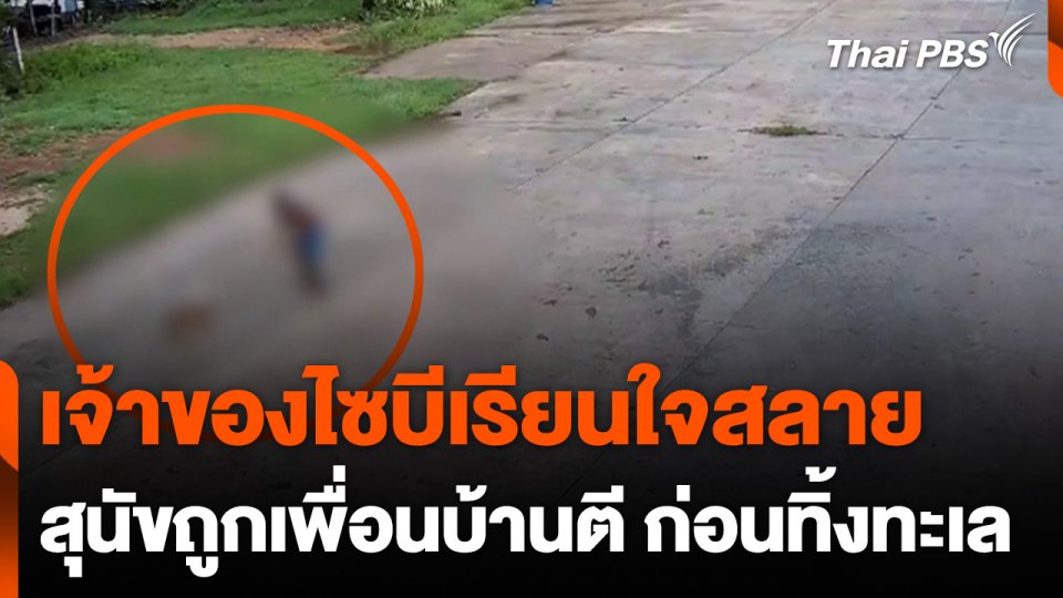 เจ้าของไซบีเรียนแจ้งความ สุนัขถูกเพื่อนบ้านตี ก่อนทิ้งทะเล