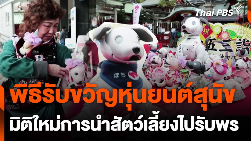 พิธีรับขวัญหุ่นยนต์สุนัขในญี่ปุ่น มิติใหม่ของการนำสัตว์เลี้ยงไปรับพร