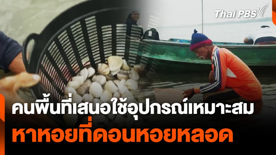 คนพื้นเสนอใช้อุปกรณ์เหมาะสม หาหอยที่ดอนหอยหลอด