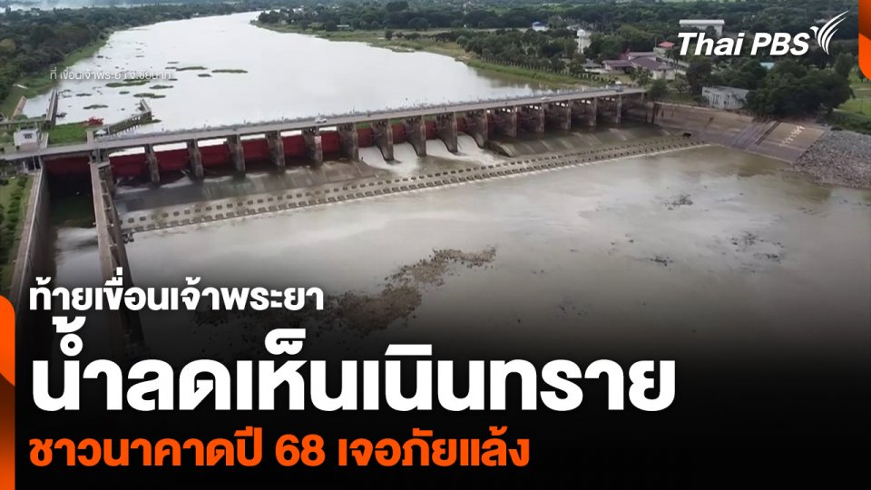 ท้ายเขื่อนเจ้าพระยา น้ำลดเห็นเนินทราย ชาวนาคาดปี 68 เจอภัยแล้ง