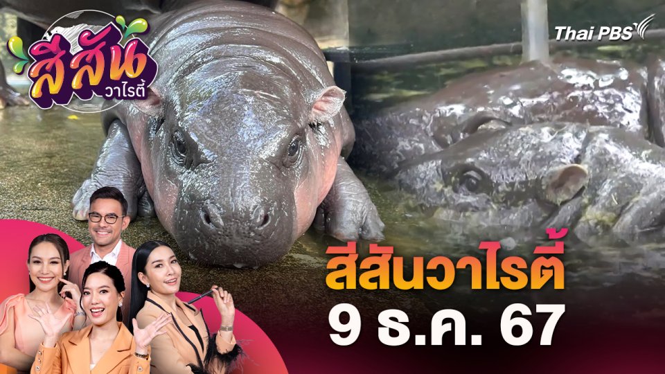 สีสันวาไรตี้ (9 ธ.ค. 67)