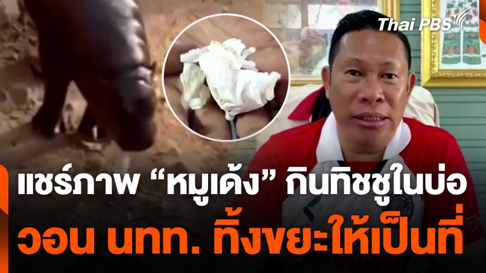 แชร์ภาพ "หมูเด้ง" กินทิชชูในบ่อ วอน นทท. ทิ้งขยะให้เป็นที่