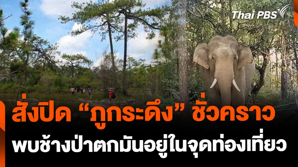 สั่งปิด "ภูกระดึง" พบช้างป่าตกมันยังอยู่ในจุดท่องเที่ยว