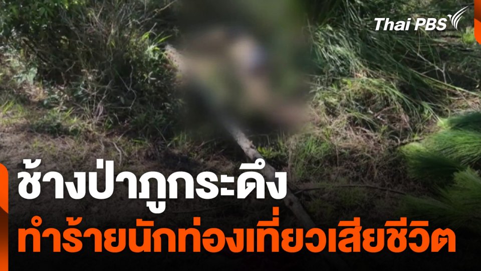 ช้างป่าภูกระดึง ทำร้ายนักท่องเที่ยวเสียชีวิต