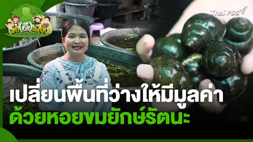 พอดีพอเพียง : เปลี่ยนพื้นที่ว่างให้มีมูลค่าด้วยหอยขมยักษ์รัตนะ