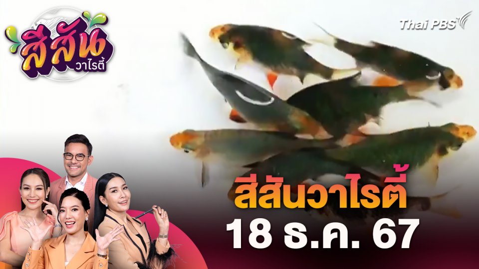 สีสันวาไรตี้ (18 ธ.ค. 67)