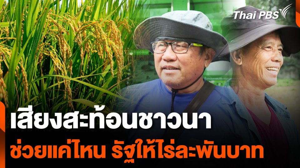เสียงสะท้อนชาวนา ช่วยมากแค่ไหน รัฐให้ไร่ละ 1,000 บาท